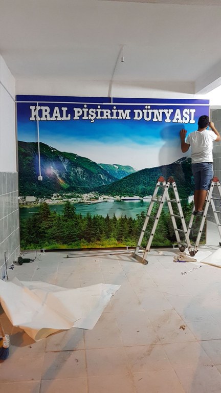 IMG-20171003-WA0019_432x768