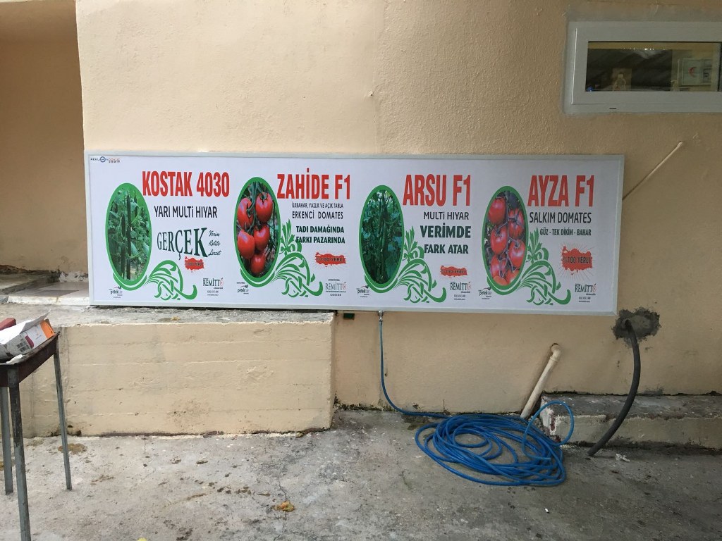 IMG-20171028-WA0009_1024x768