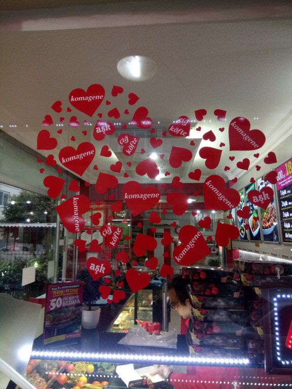 IMG_20170206_174119_576x768